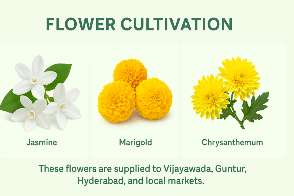 27b99489 d7f6 4e94 85d8 12771ccdbe4f