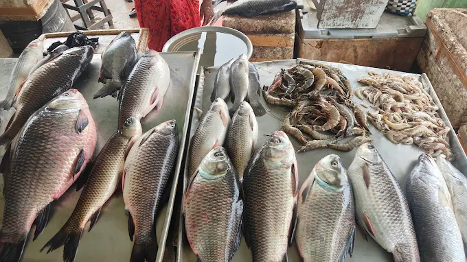 Machilipatnam Fish Market.