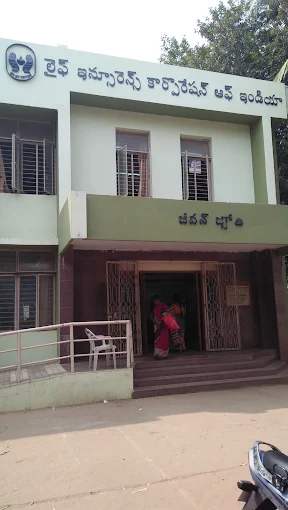 LIC of India, Branch Office